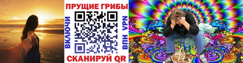 Псилоцибиновые грибы Psilocybine cubensis  Чебаркуль 